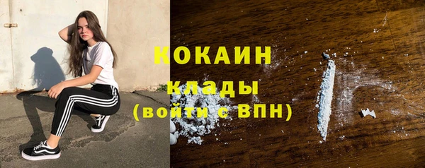 дживик Новозыбков